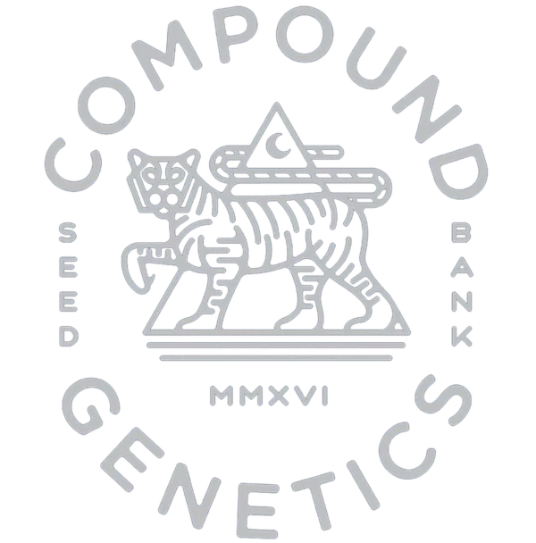 Compound Z Strain Seeds Compound PROPER SEEDS CANADA